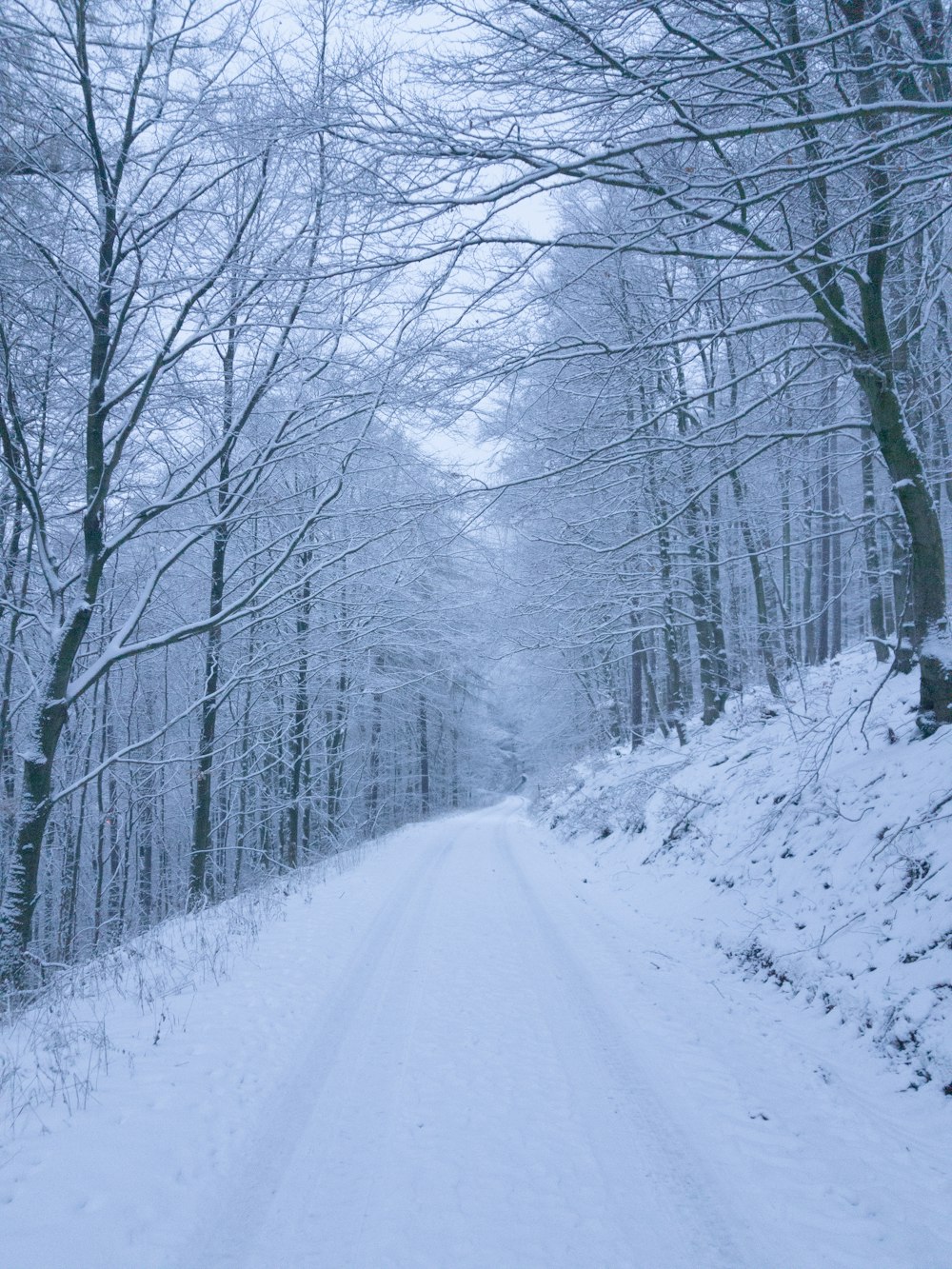 a snow covered road in the middle of a forest