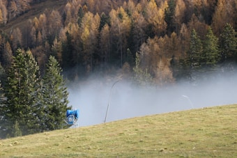 A gently sloping grassy hill is bordered by a dense forest of evergreen and deciduous trees, with mist or low clouds drifting across the scene. A blue snowmaking machine is visible on the left side of the hill.