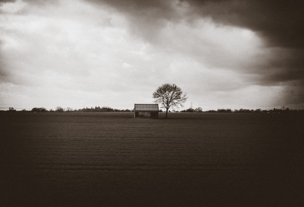 gray wooden house near tree under gray skies