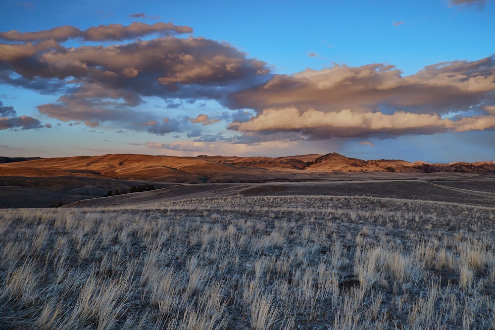 gray grass field under gloomy sky