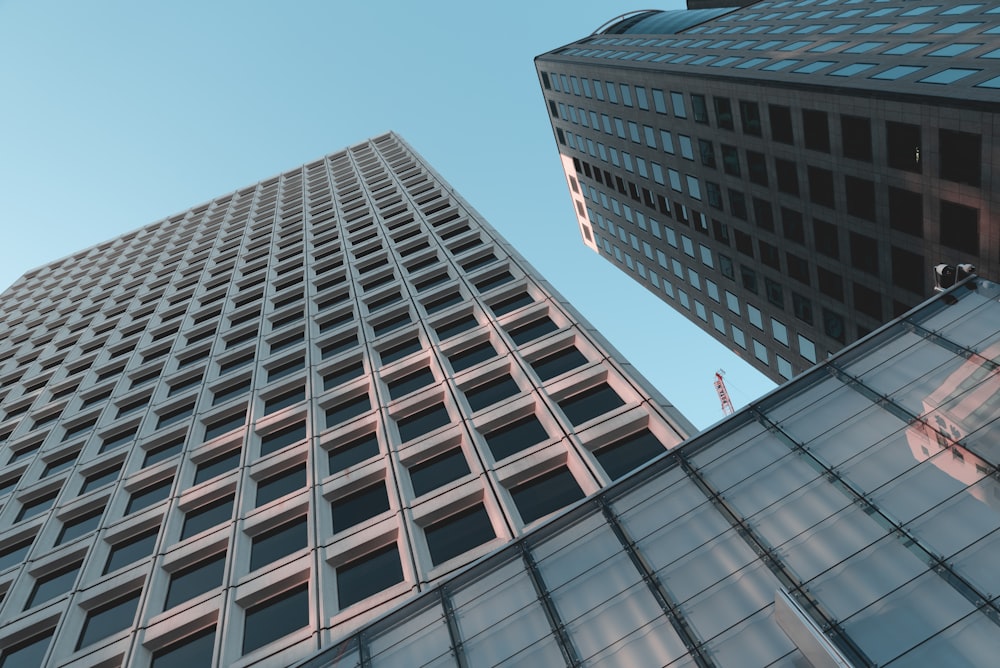 low angle photography of glass highrise building