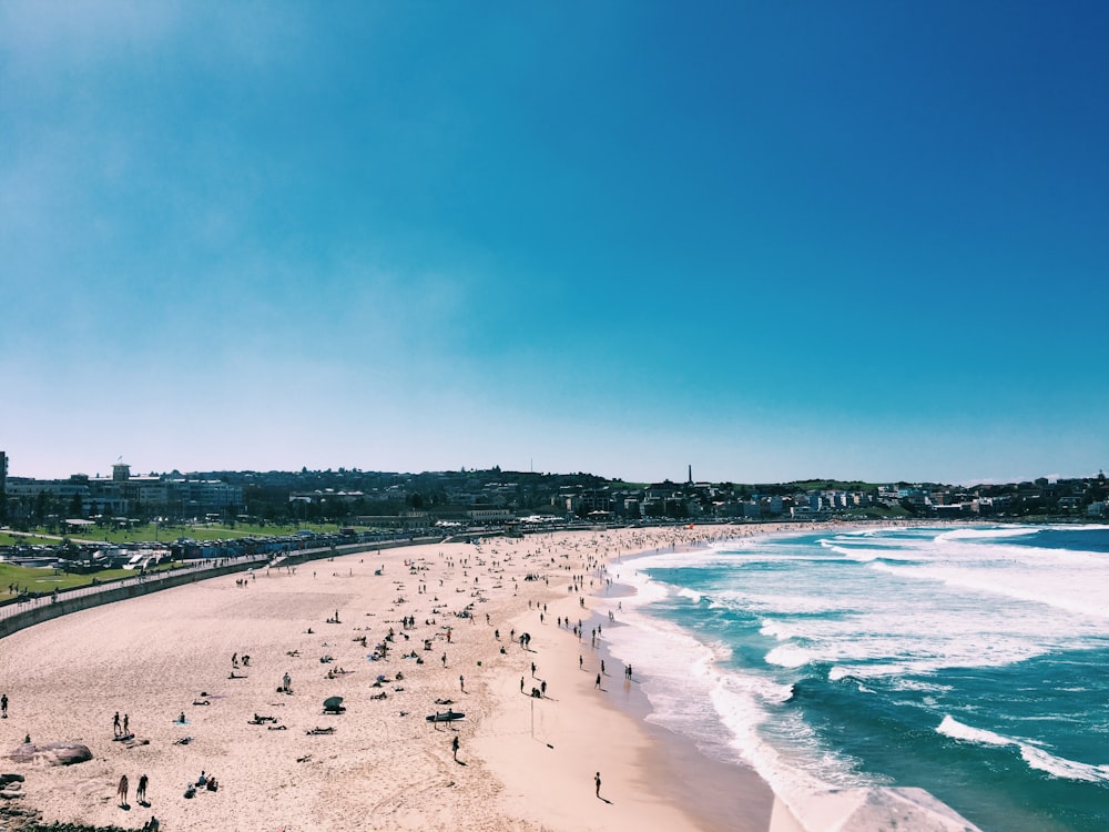 un groupe de personnes debout au sommet d’une plage de sable