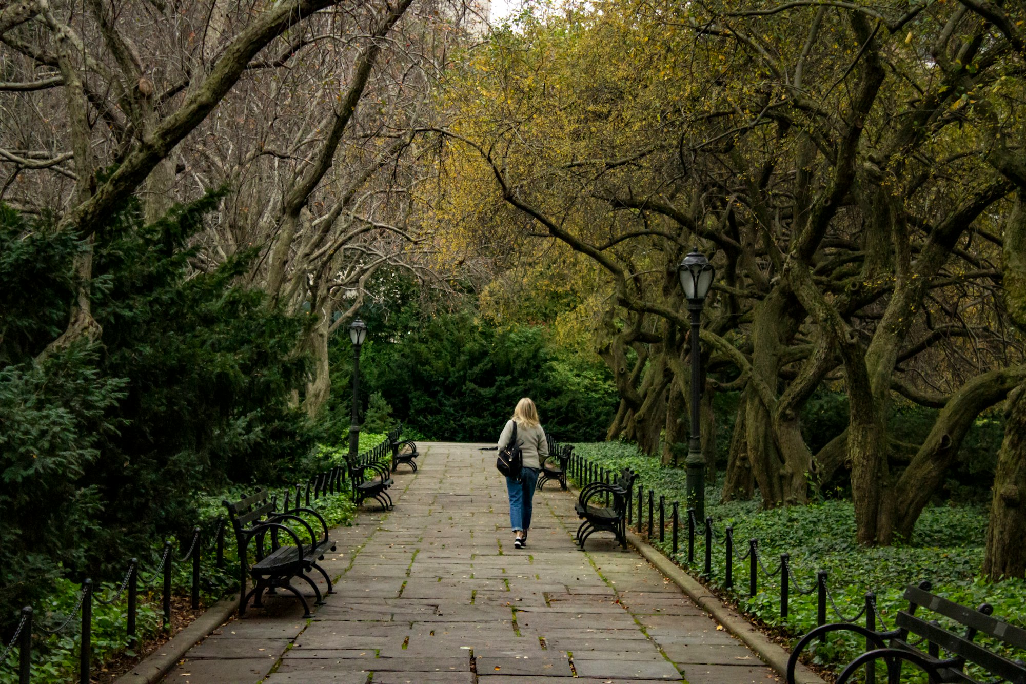 Shot at Central Park