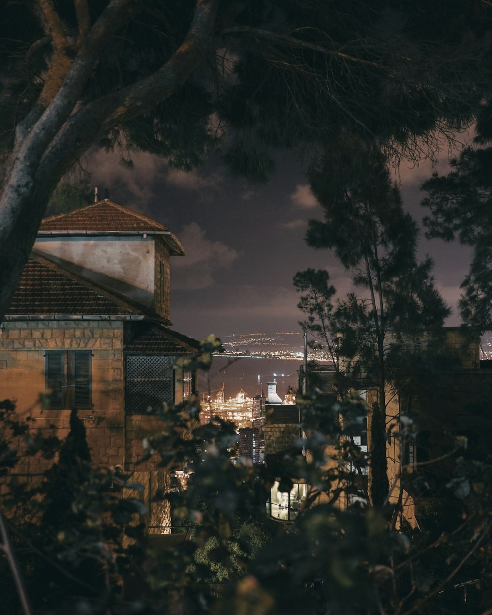 houses near trees at night