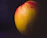 Close-up of a ripe, golden mango with droplets of water on its skin against a lush green background.