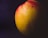 A close-up image of a ripe mango with a smooth yellow and red skin, highlighted against a dark background, enhancing its vivid colors and textures.
