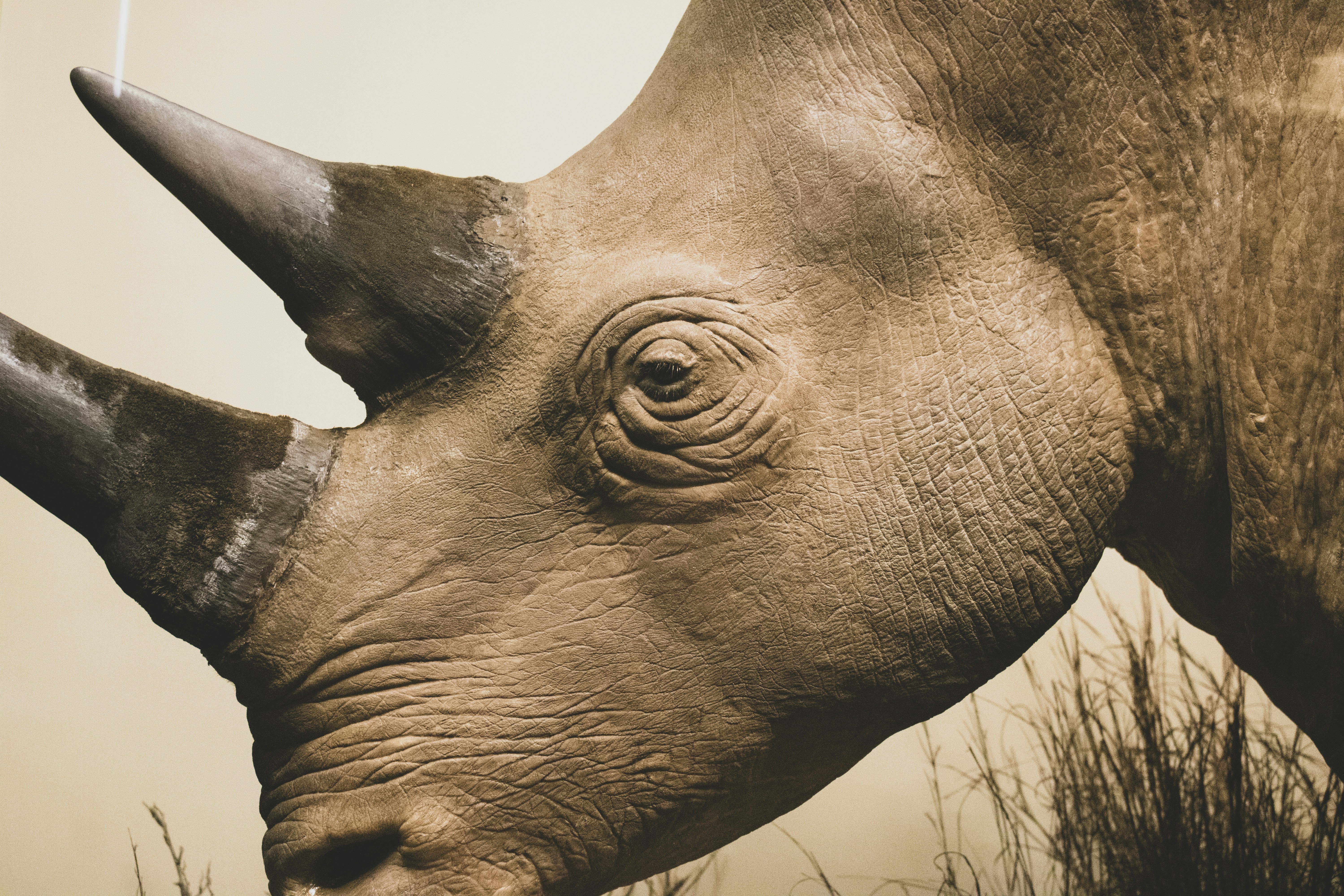 Photo by holawalterlee