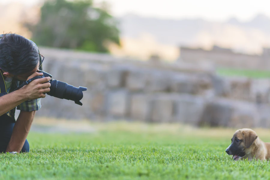 A person crouching at dog eye level to photograph their puppy with a DSLR camera