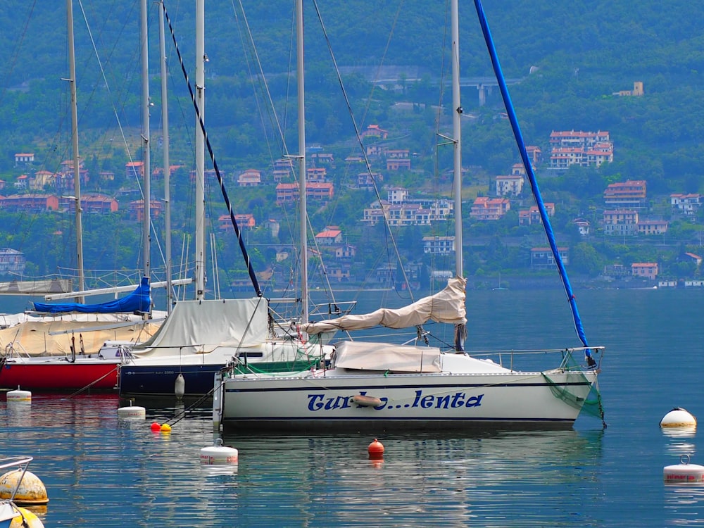 three white boats docked at daytime