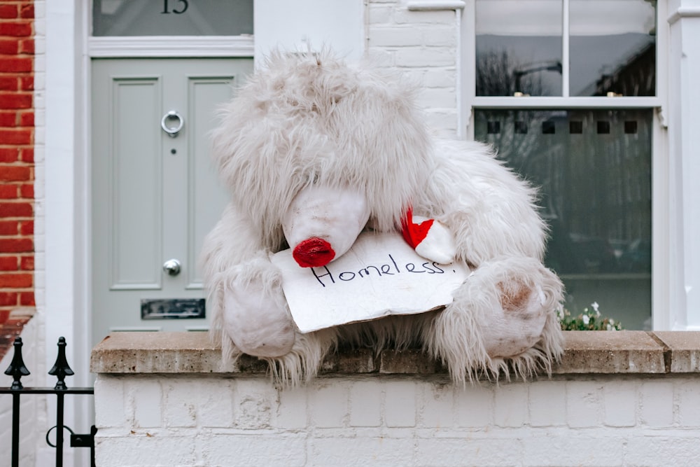 white animal plush toy on gray concrete wall on top