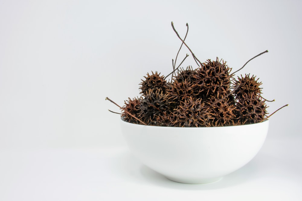 brown spikey fruit