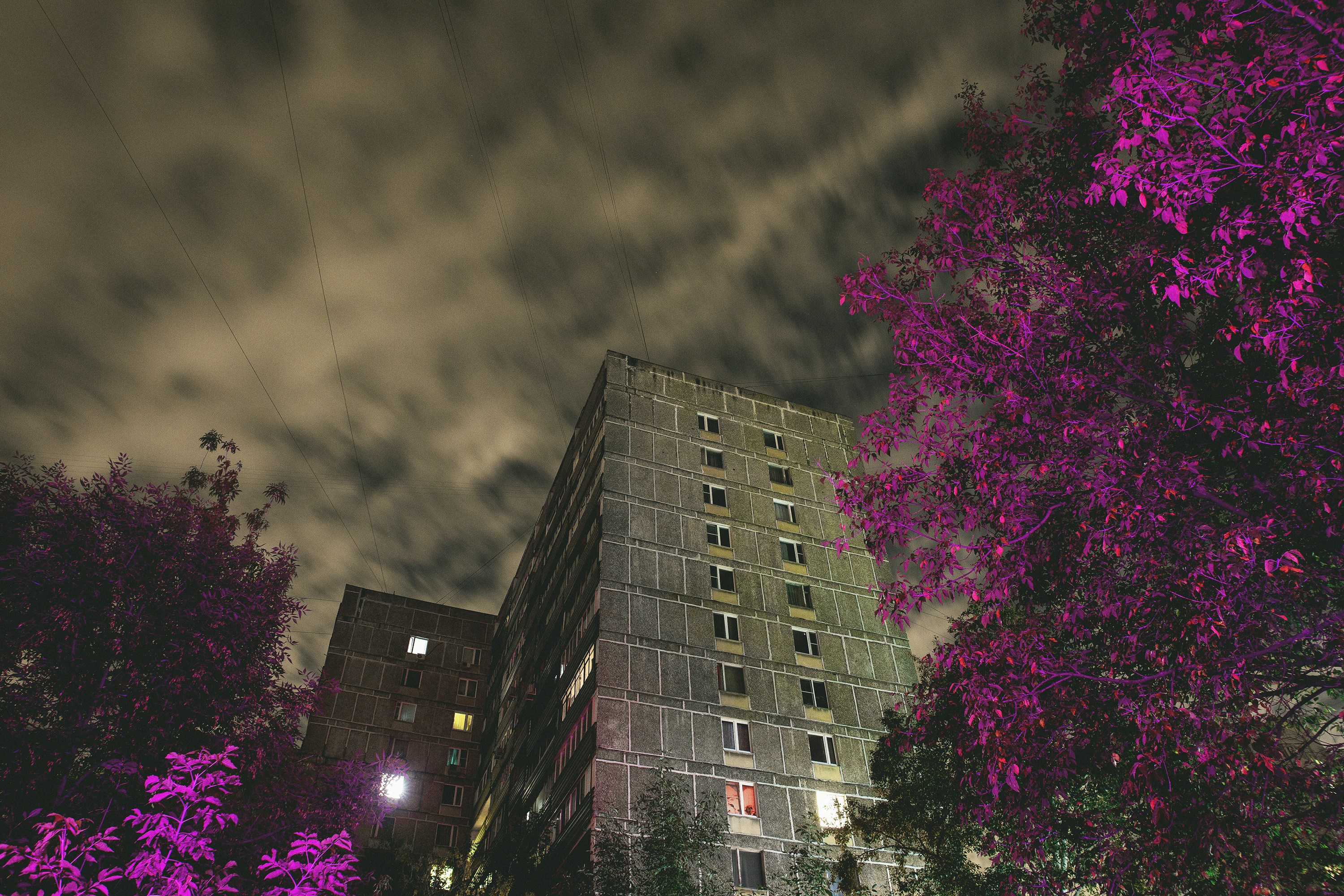 gray high-rise building