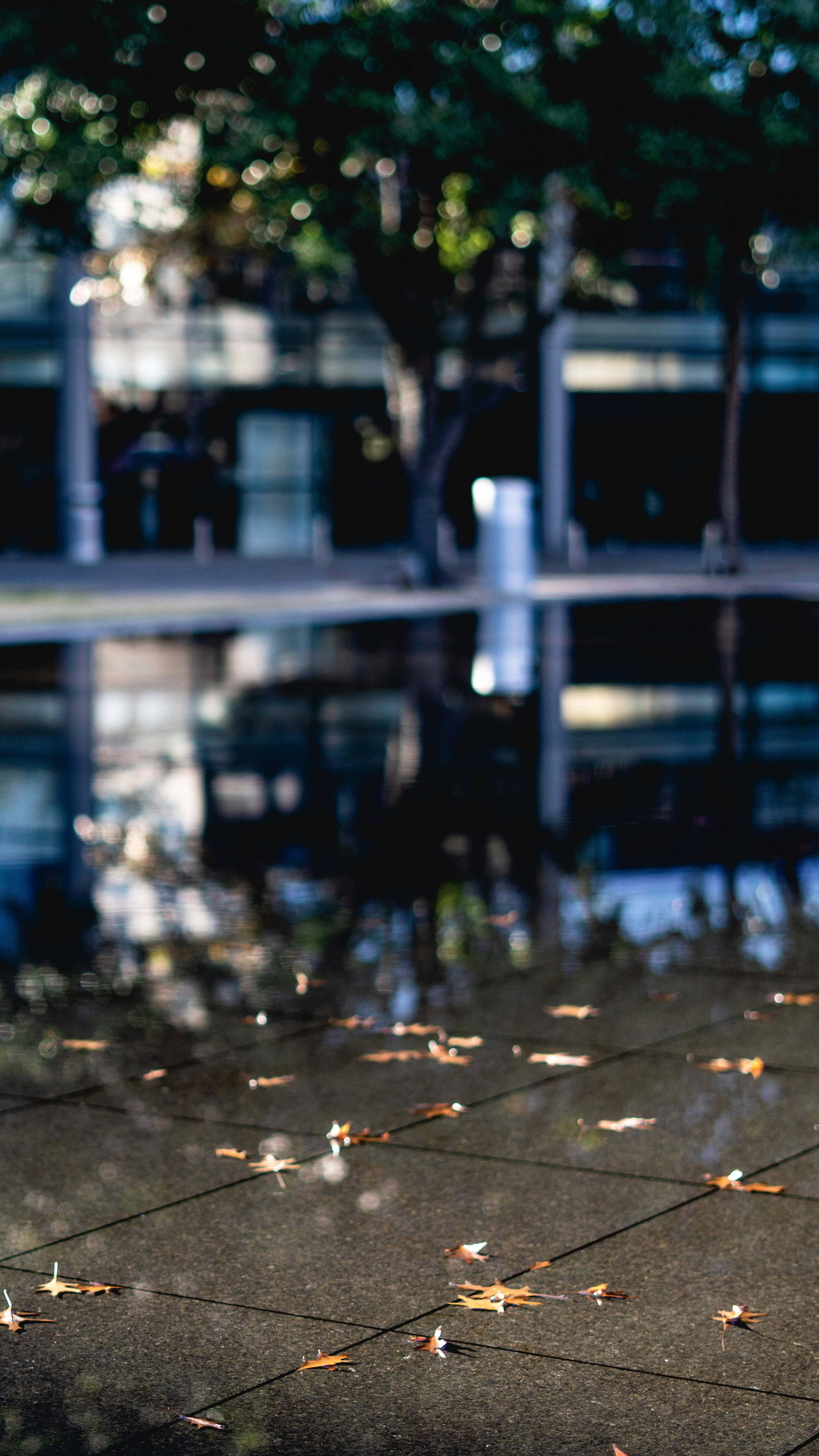 Photo by theramongrande