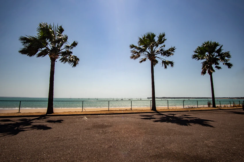 Palm-lined coastal scenery in Darwin