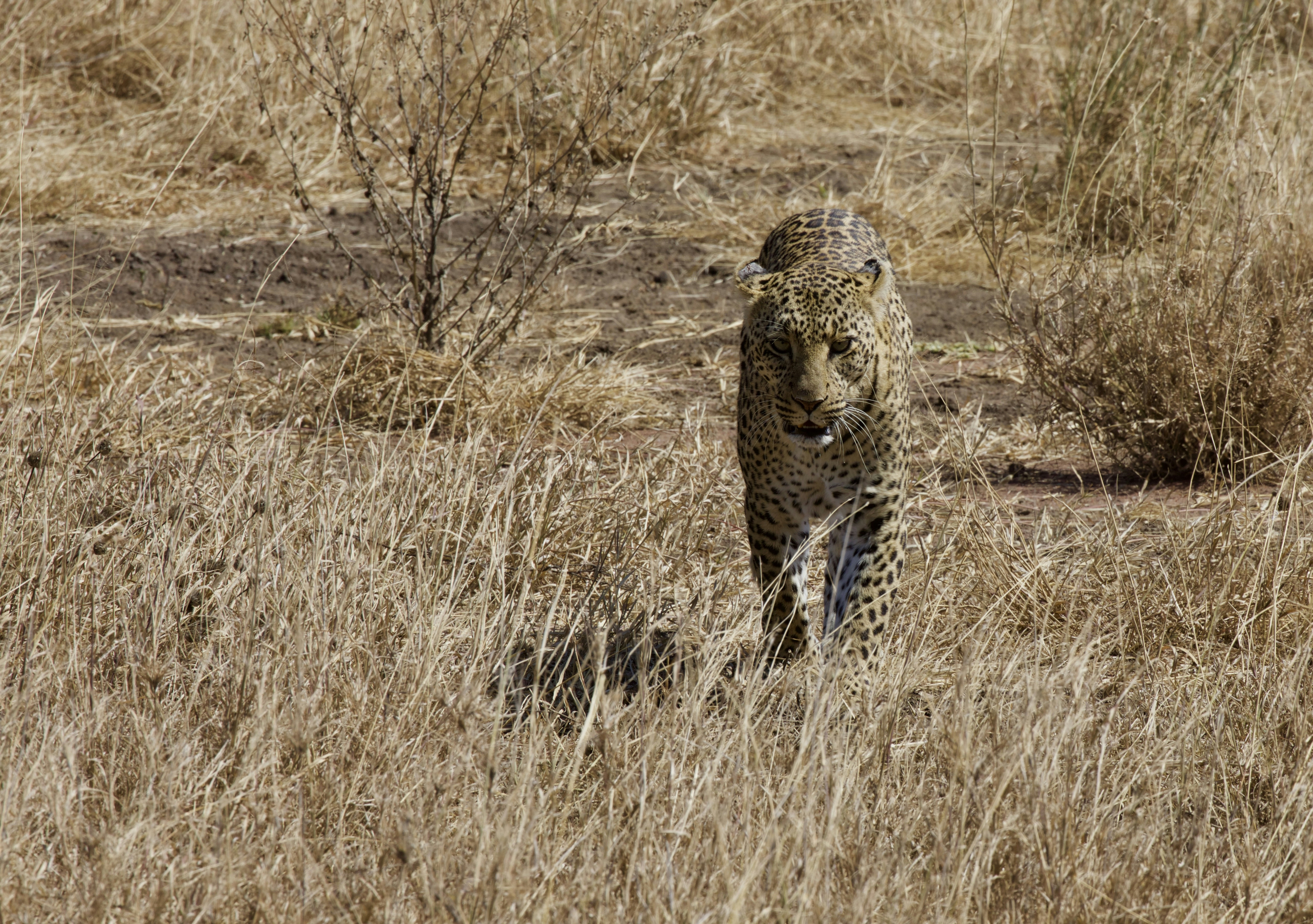 Photo by magdalenakulamanchee