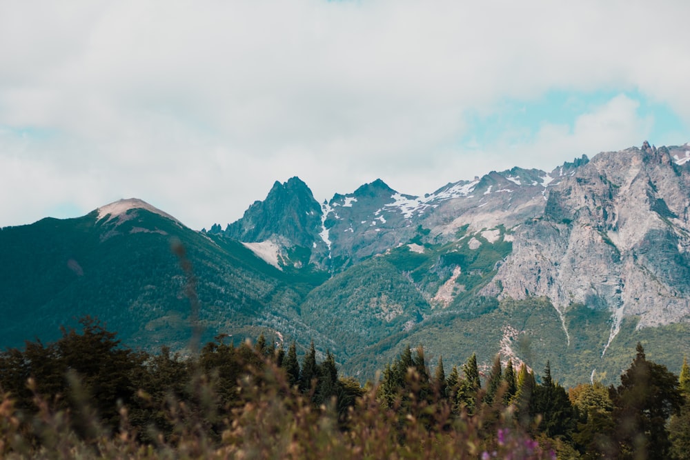 landscape photography of green mountain