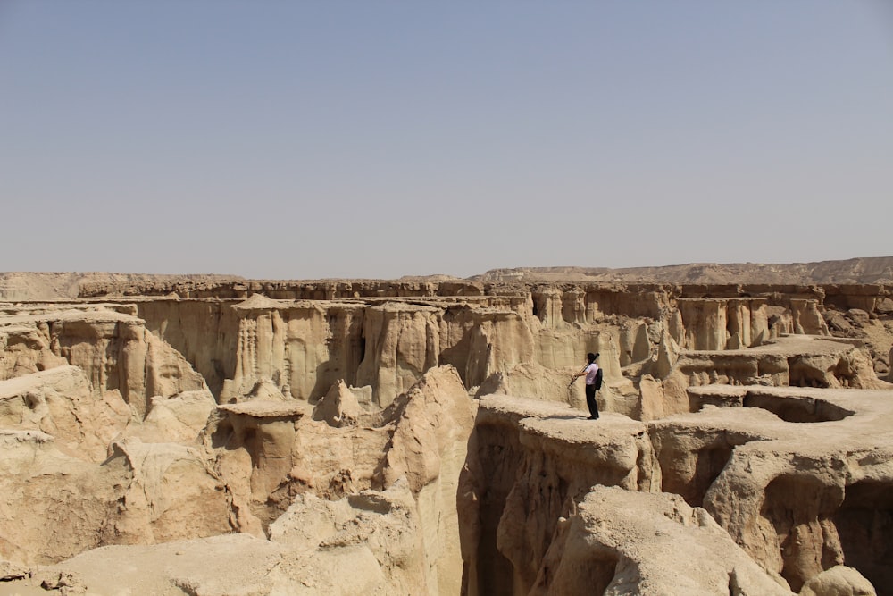 person standing on brown mountain