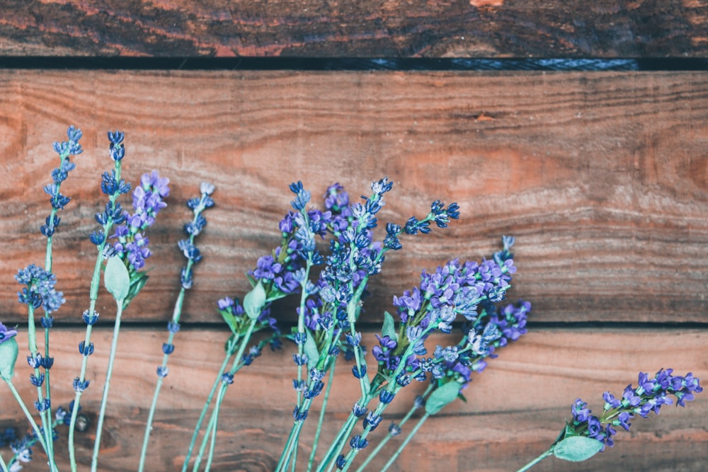 茶色の木の板に紫色のラベンダーの花