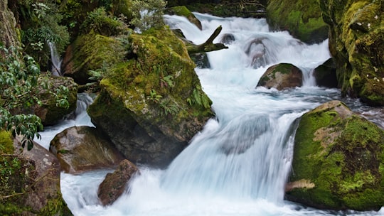 waterfall during daytime in Hollyford Track New Zealand