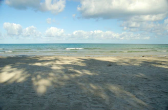 A serene sandy beach with gentle waves under a soft morning light.