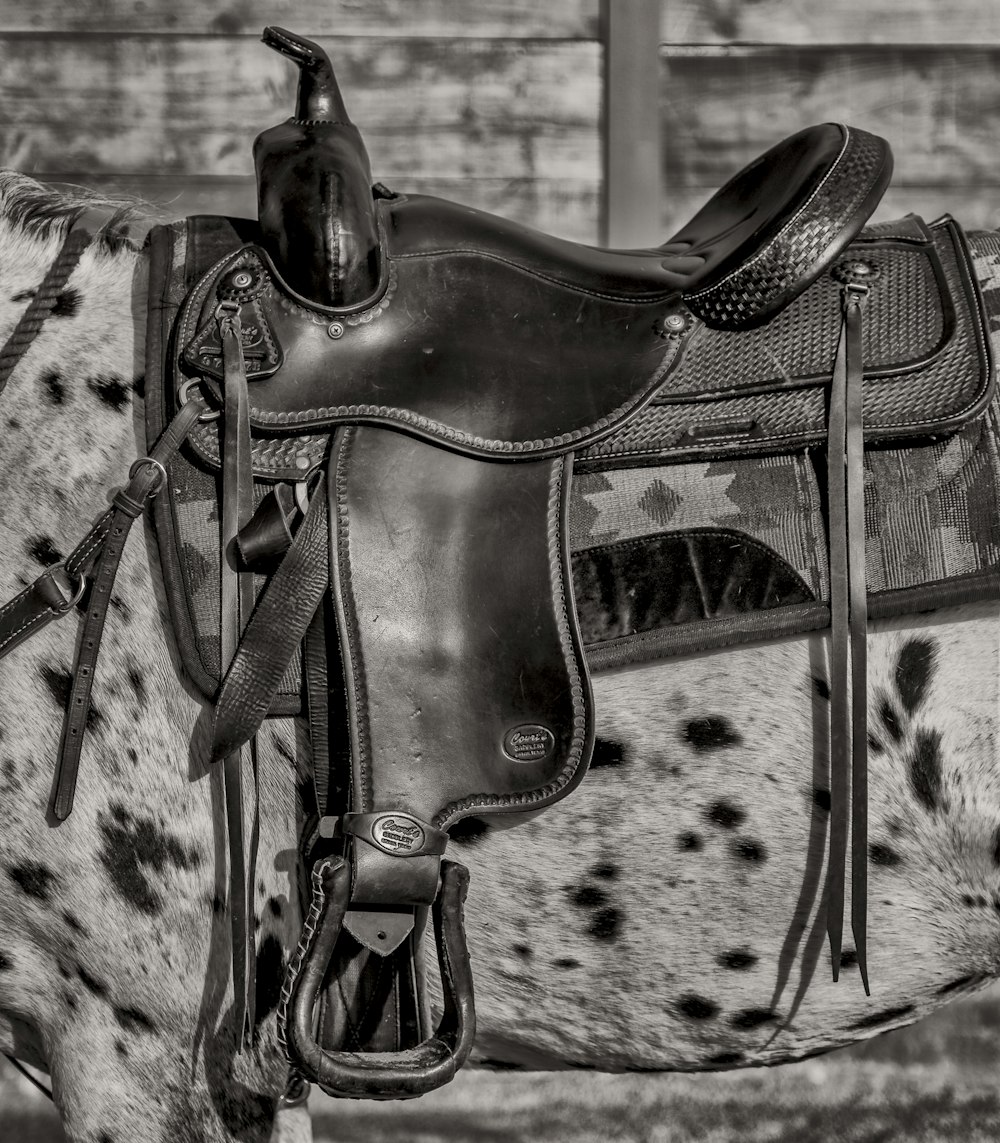 grayscale photo of black leather horse saddle