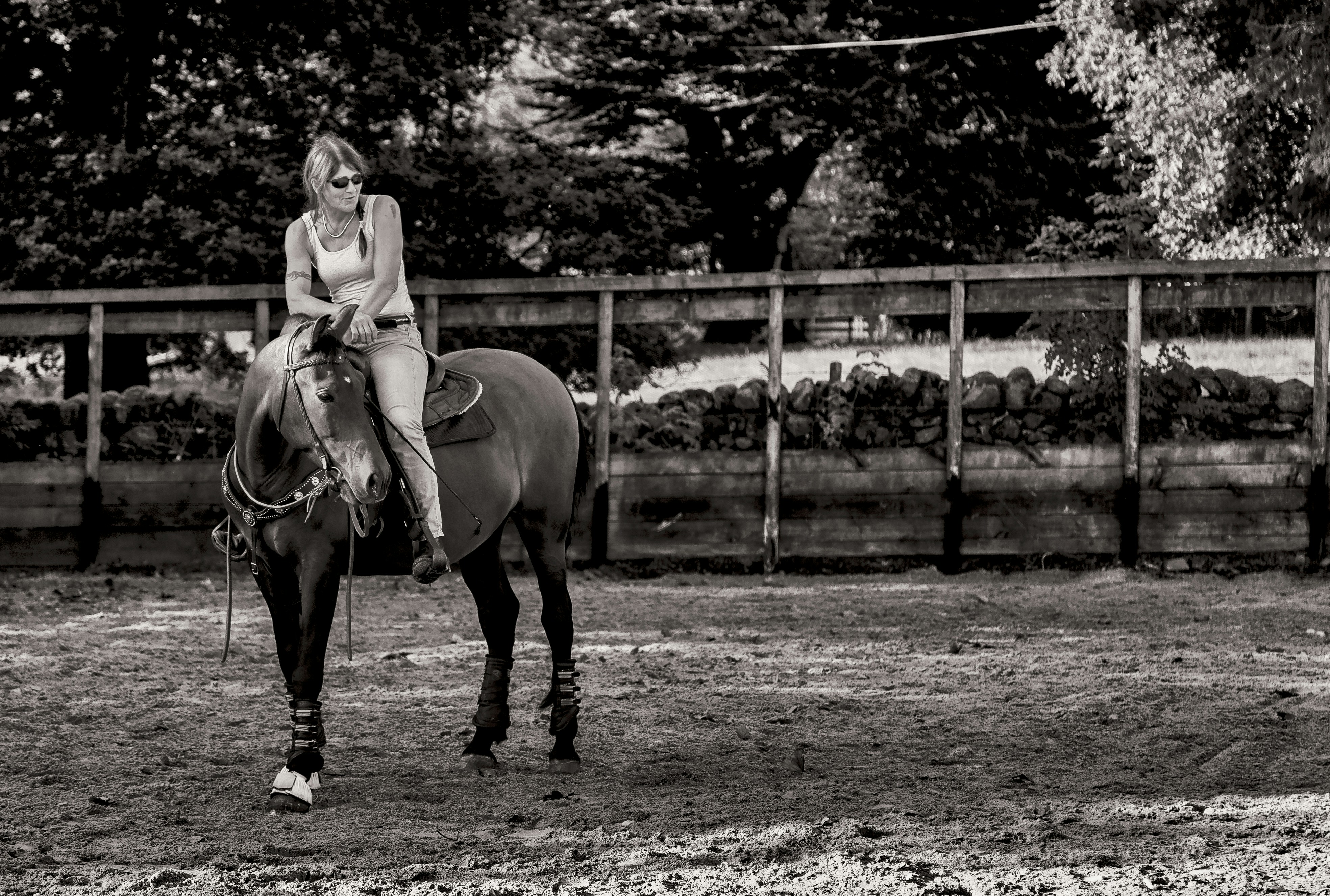 Équitation : le malaise de la médiatisation d'un sport trop peu visible