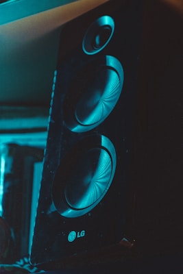 A close-up view of a black speaker featuring two large circular drivers. The speaker is standing upright in a dimly lit environment with a bluish tint, highlighting its textured surface and the brand logo near the bottom. The top driver is smaller, with distinct concentric patterns visible in the recessed areas of the drivers.