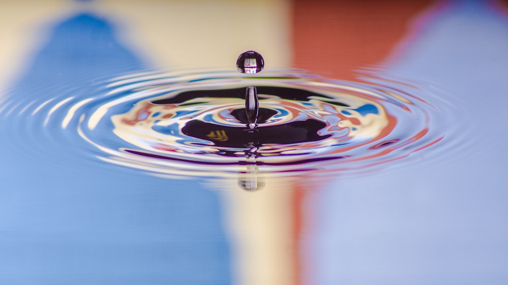 selective focus photography of body of water