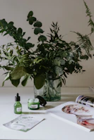 A vibrant bathroom counter with natural beauty products and fresh greenery.