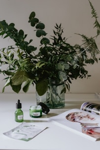 A close-up of vibrant green plants and skincare products on a marble surface.