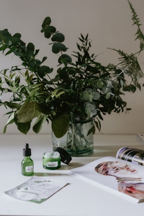 A glass vase holds an arrangement of lush green leafy branches on a bright, minimalistic surface. In the foreground, skincare products in green containers are positioned next to an open magazine displaying a colorful portrait. The overall setting conveys a fresh, natural aesthetic.