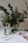 A glass vase holds an arrangement of lush green leafy branches on a bright, minimalistic surface. In the foreground, skincare products in green containers are positioned next to an open magazine displaying a colorful portrait. The overall setting conveys a fresh, natural aesthetic.