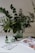 A glass vase holds an arrangement of lush green leafy branches on a bright, minimalistic surface. In the foreground, skincare products in green containers are positioned next to an open magazine displaying a colorful portrait. The overall setting conveys a fresh, natural aesthetic.