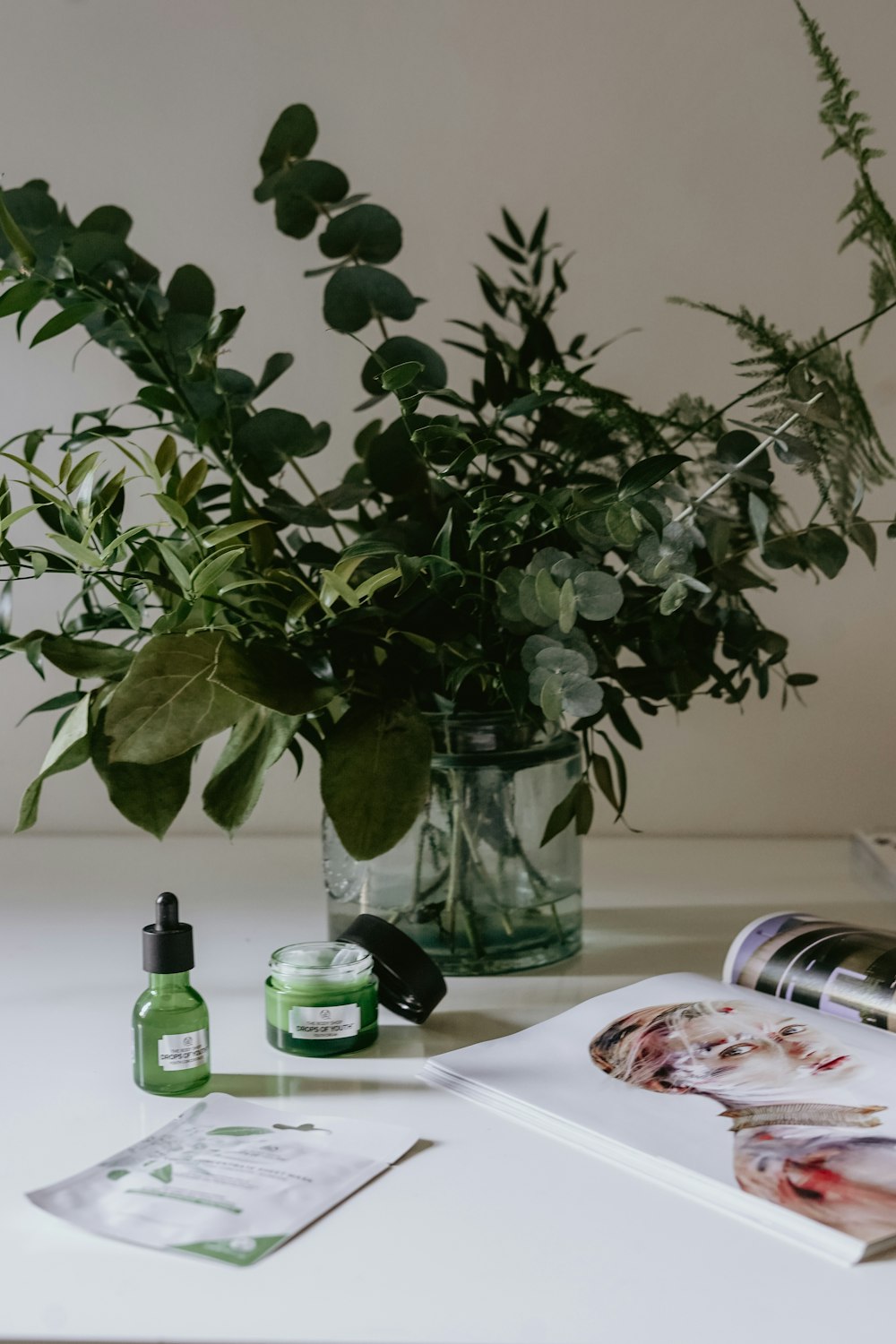 plants near open magazine on desk