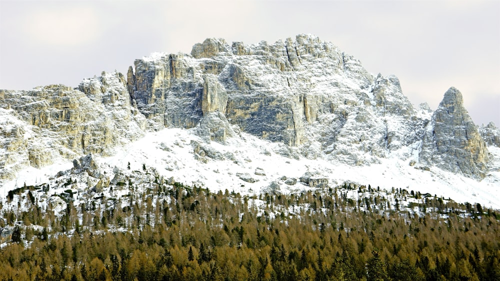 snow capped mountain