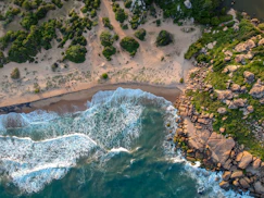 aerial view of trees and ocean