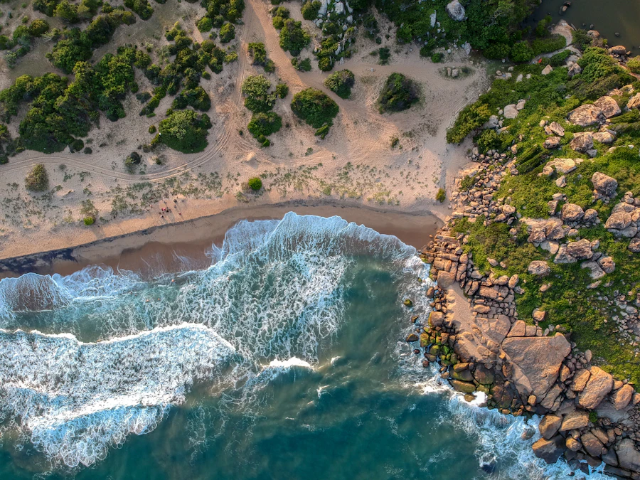 Aerial view of a green peninsula meeting the ocean