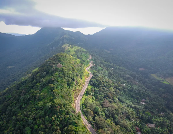 A winding road through green hills