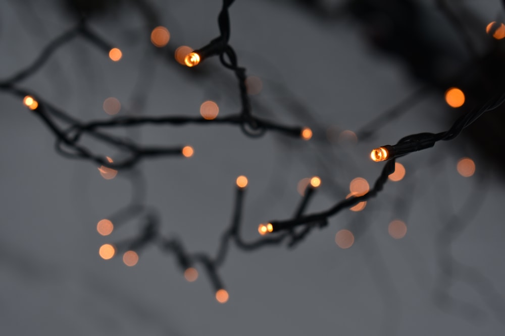 turned-on black string lights