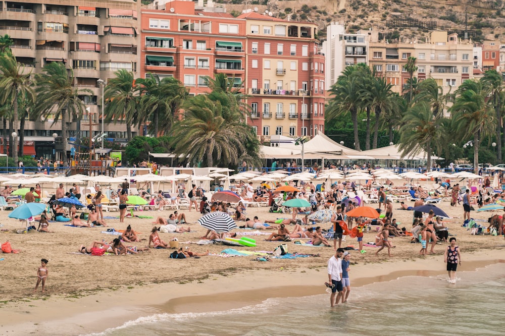 people gathered on seashore near buildings