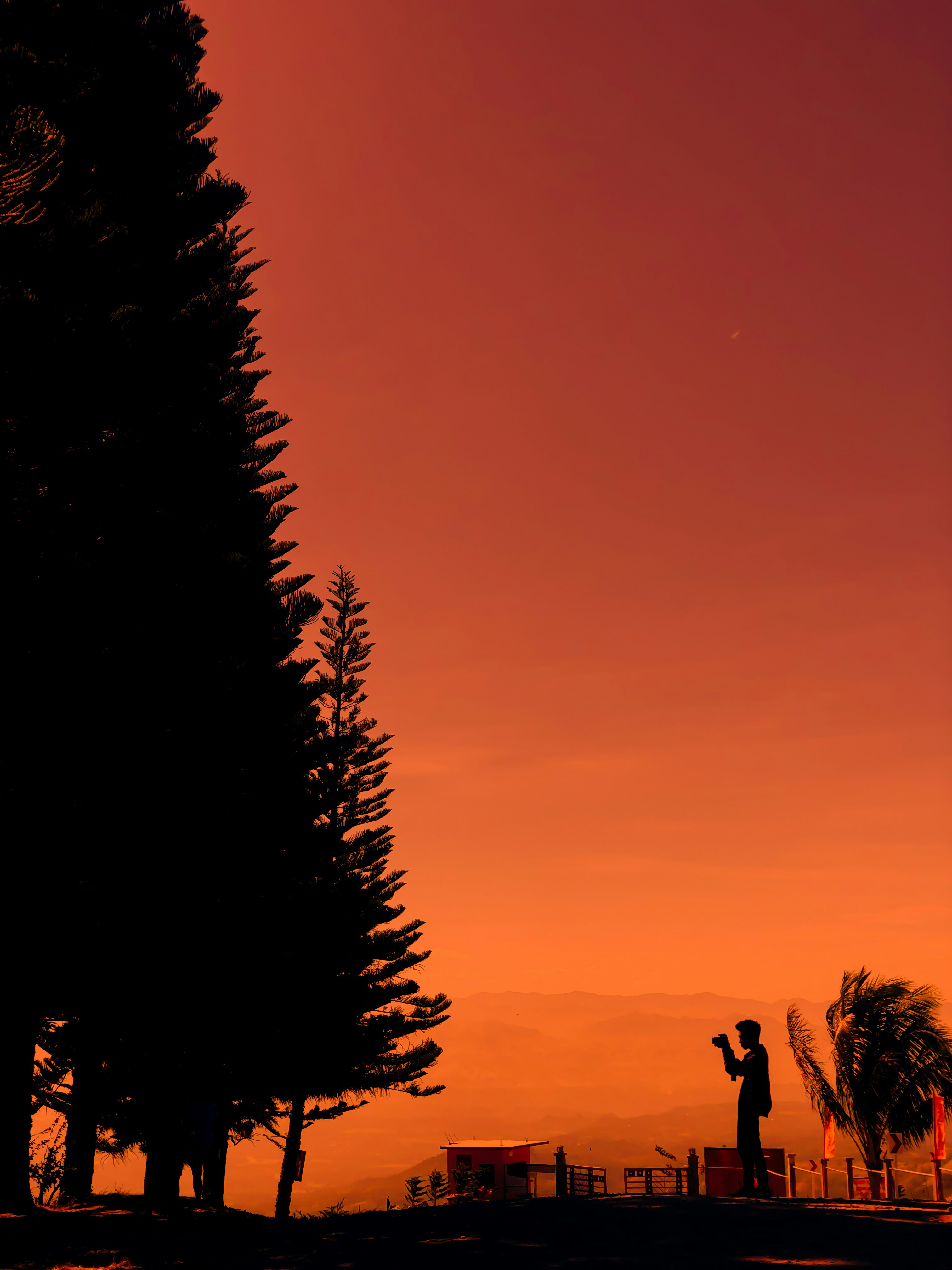 silhouette of man standing near trees