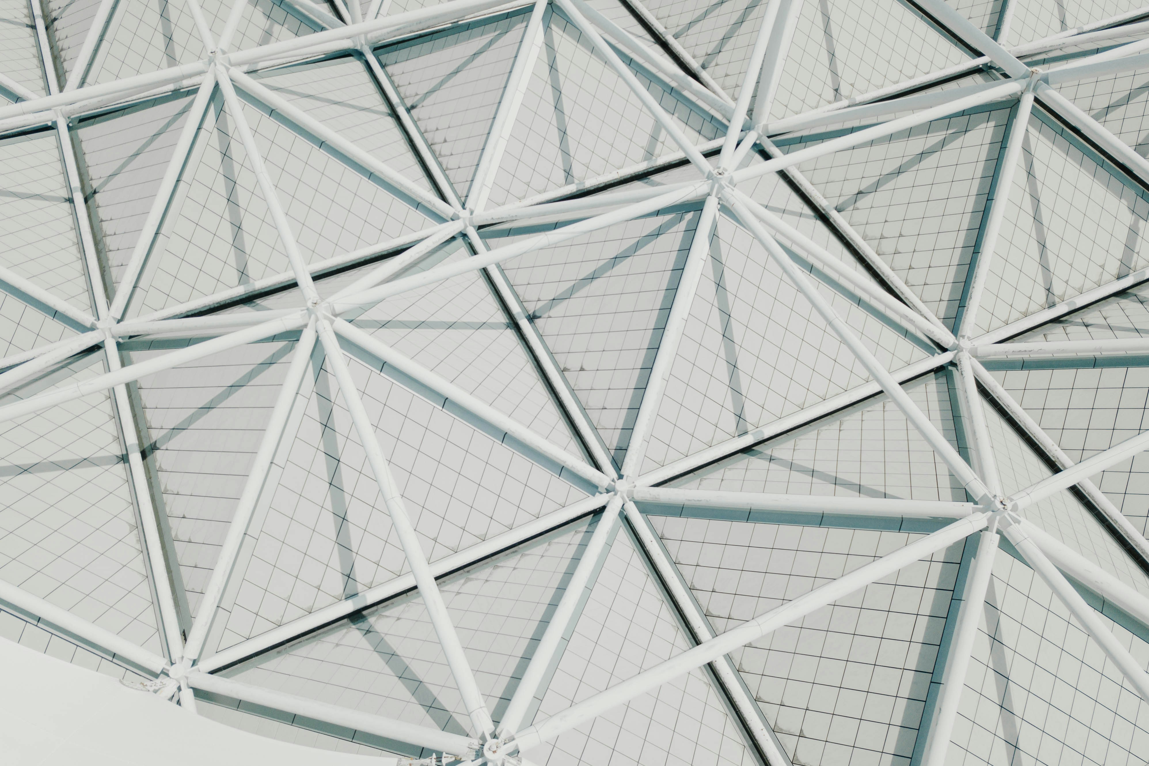 Photo by chuttersnap