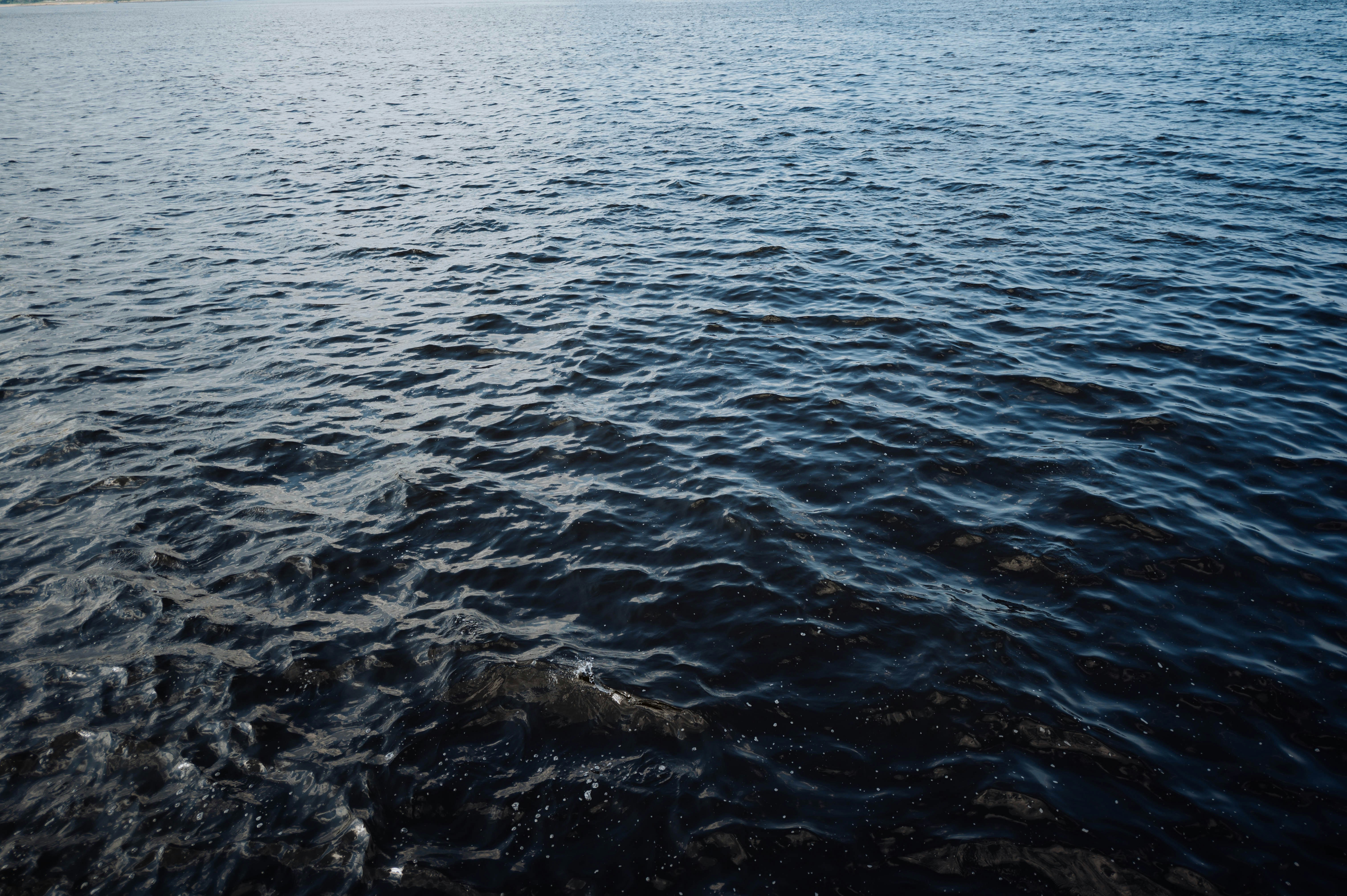 Photo by chuttersnap