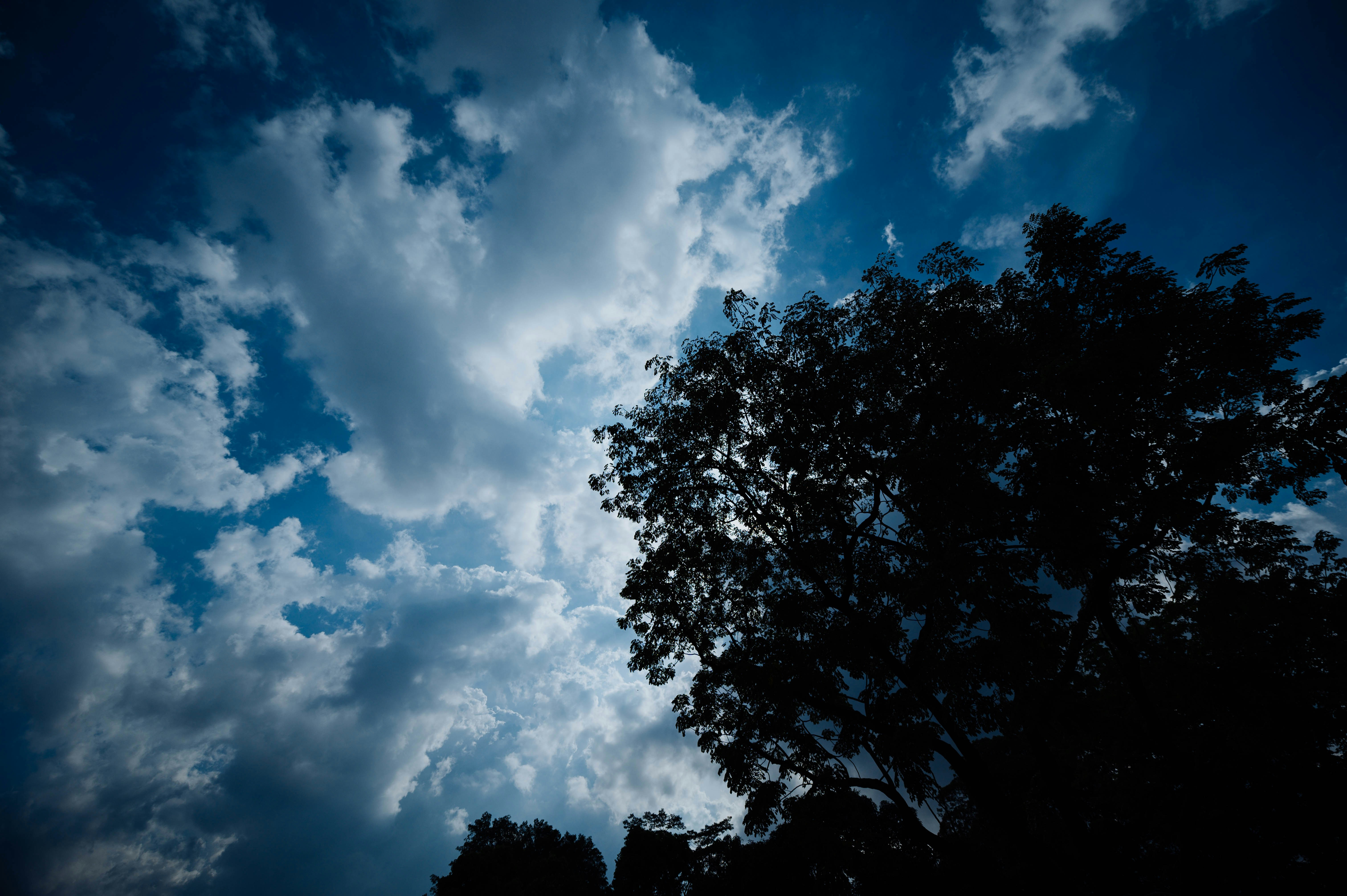 Photo by chuttersnap