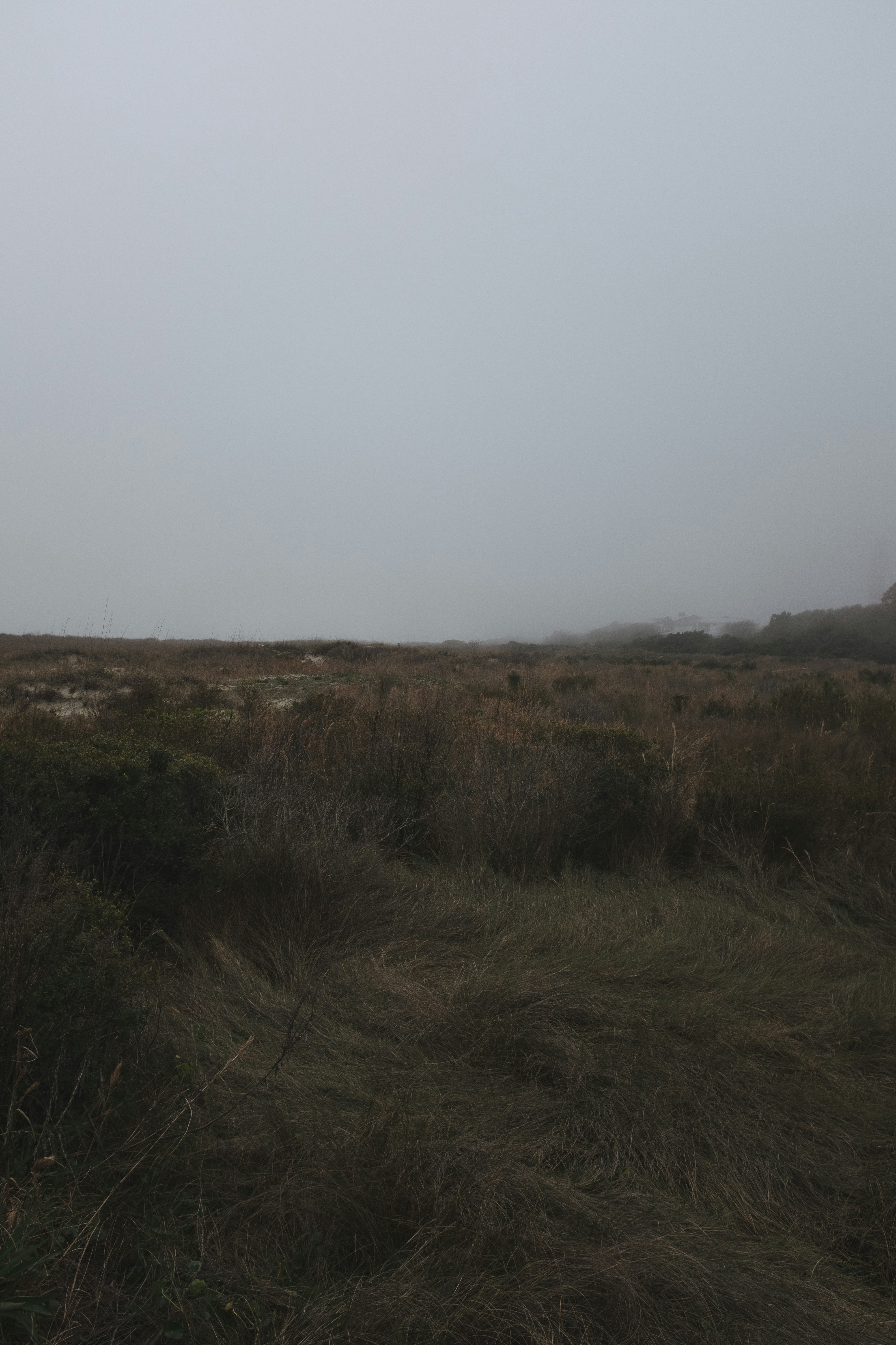 Photo by leecampbell