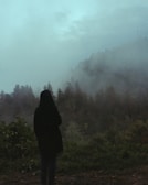 An ethereal silhouette standing at the edge of a misty forest under a twilight sky.