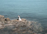 A bride and groom exchanging vows with the ocean and breakwall in the background.
