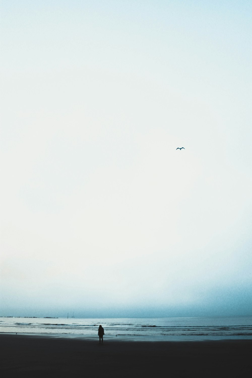 person standing on seashore viewing calm sea