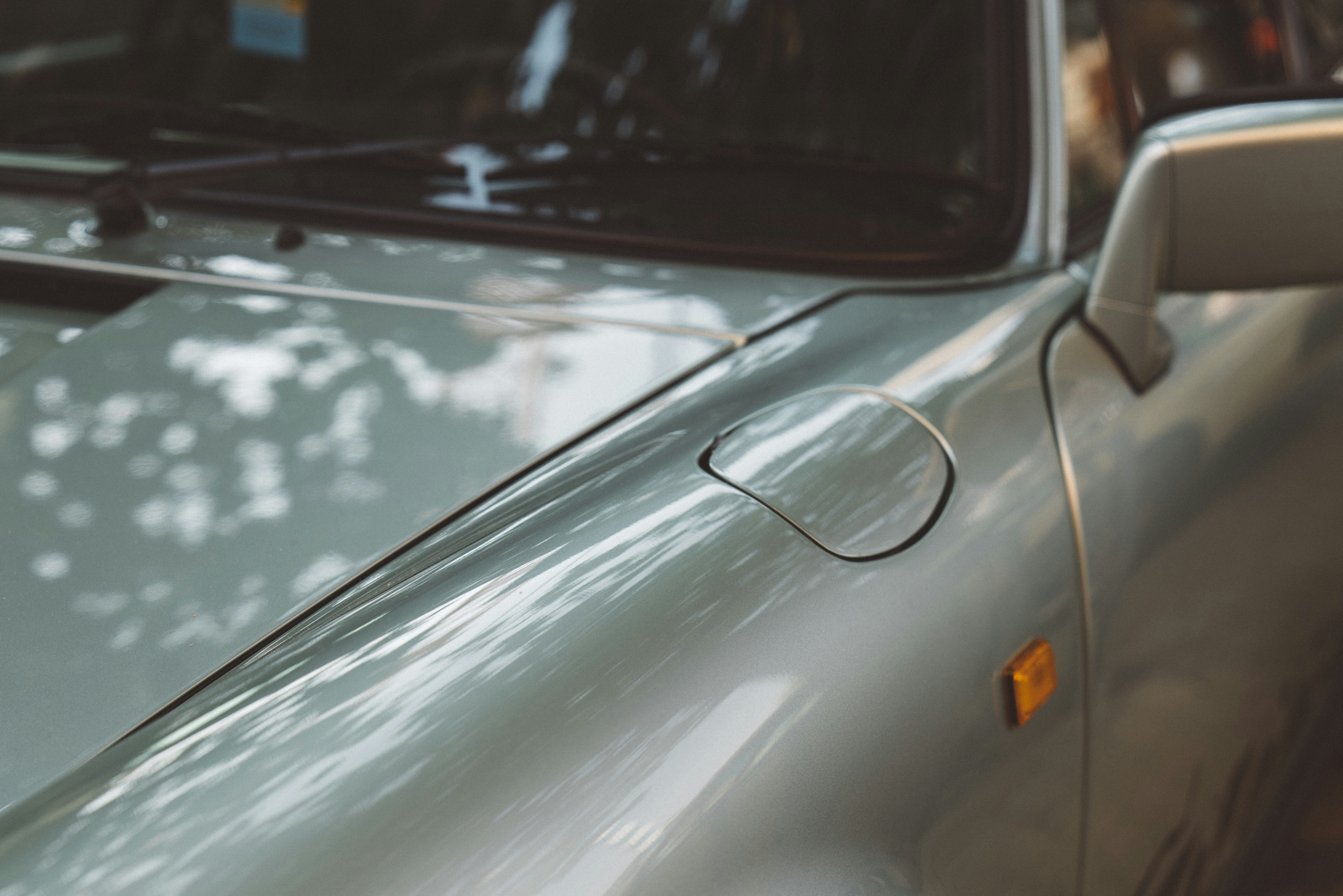 Photo by whodunelson