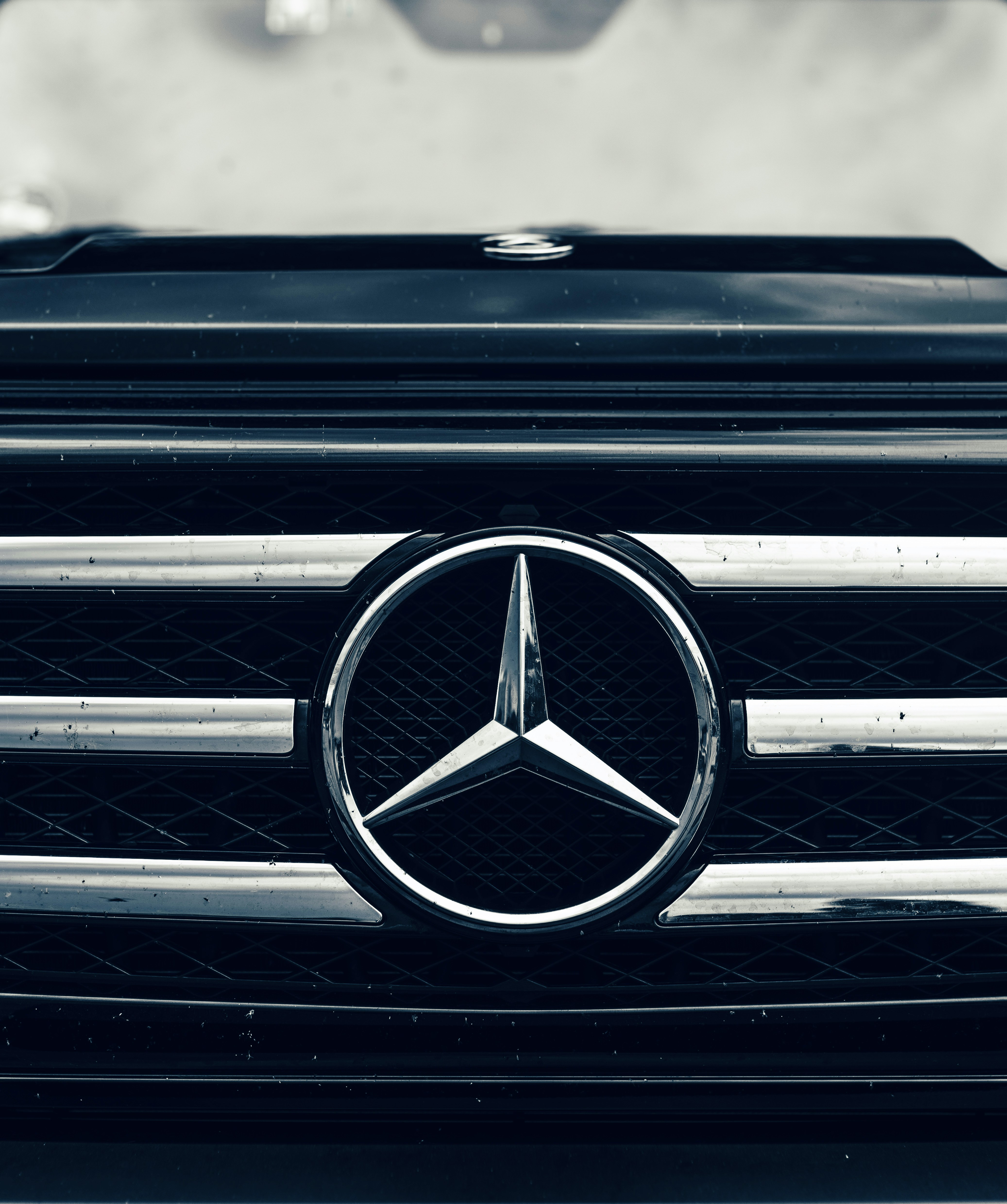 Photo by whodunelson